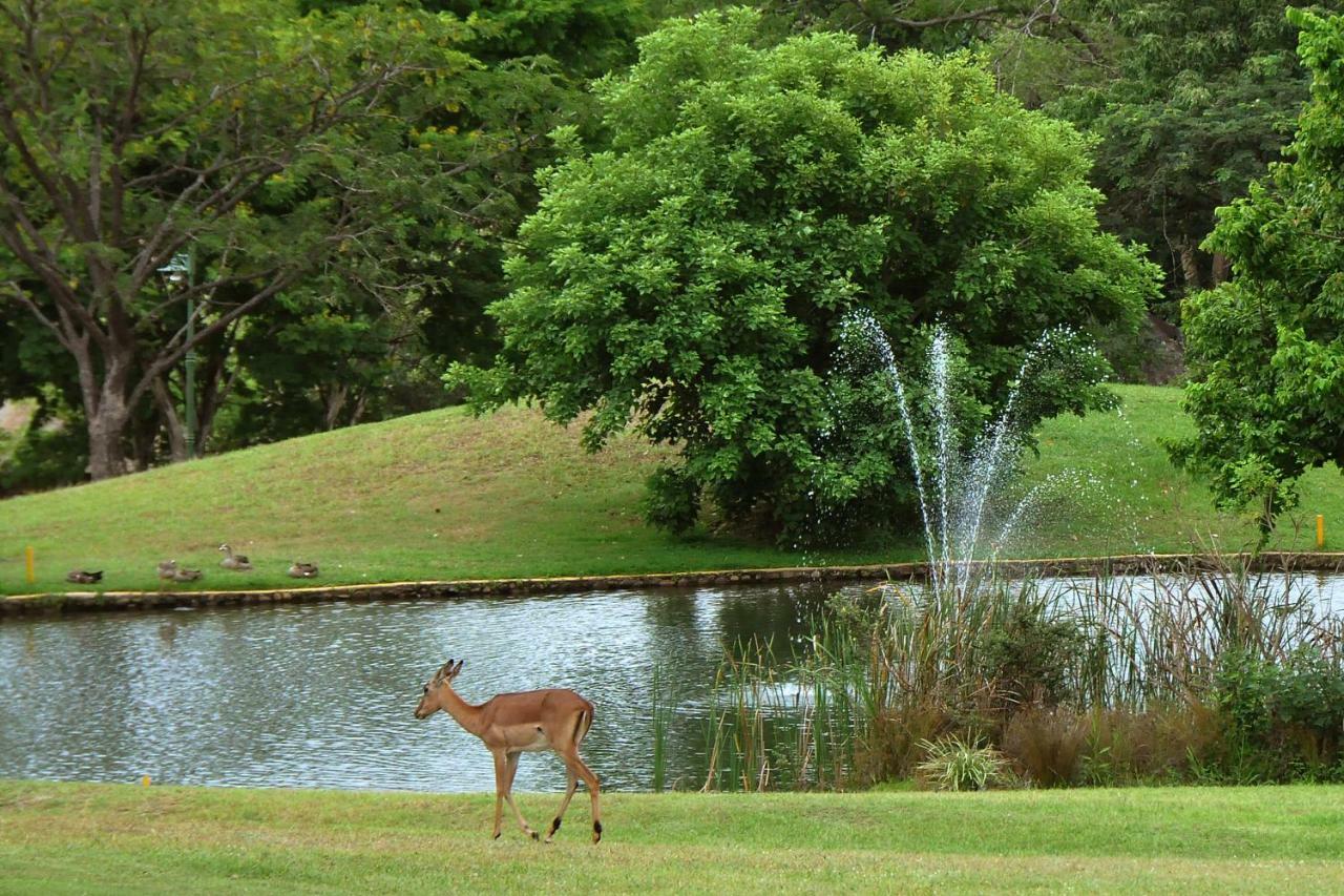 Kruger Park Lodge Unit No. 243 Hazyview Eksteriør bilde